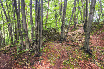 Barely visible remains of Ostreznik Castle in Polish Jurassic Highland, Silesia region in Poland