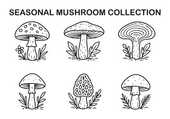 Magical Mushroom Clipart – Hand Drawn Fantasy Fungi Illustrations Seasonal Mushroom Collection Line Art Illustrations