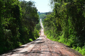 Jungle roads and forests in the Amazon jungle of Argentina
