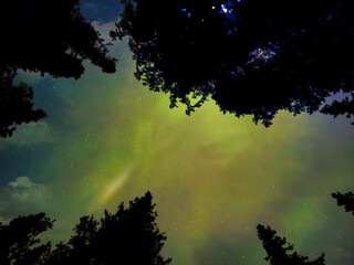 The sky is filled with stars and a green glow