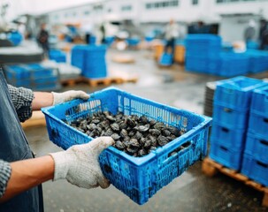 Worker carrying a blue crate full of freshly harvested mussels at a seafood processing plant.