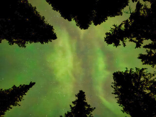 A beautiful night sky with a green aurora