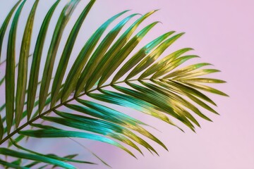 Obraz premium Close-up of a vibrant palm frond against a pastel backdrop