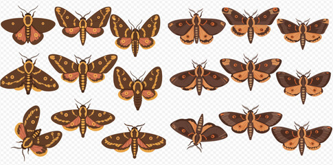 Fototapeta premium A collection of brown and orange moth illustrations arranged on a white background.