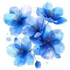 Watercolor Illustration of Blue Flowers with Golden Accents on Transparent Background,clipart, cut out, no background ,PNG die-cut for advertising