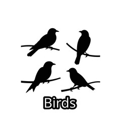 Vector silhouette illustration of four birds perched on branches scalable eps graphic isolated on white background