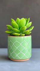 Vintage Style Potted Plant Under Enchanted Moonlight with Chives