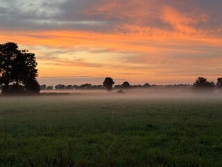 Fantastic orange and purple foggy sunset at the field in the countryside, nature miracles, silhouettes of the trees at the horizon, fantastic colorful sky