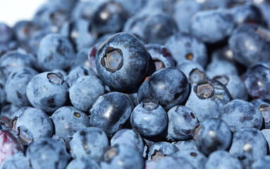Ripe blueberries on a plate. Growing blueberries