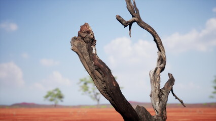 A solitary, gnarled tree stands in a vibrant red desert scene. The sky above is bright and blue, dotted with fluffy clouds, adding to the striking beauty of the arid landscape.