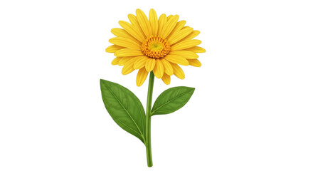Naklejka premium Isolated golden-yellow Gerbera daisy on green stem with leaves, flowering plant for decoration