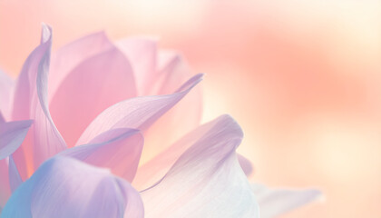 淡い光に包まれた幻想的な花びらの抽象アート背景