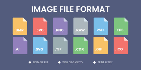 Set of Digital Image File Format Icons Vector Illustration with BMP, JPG, PNG, RAW, PSD, EPS, AI, SVG, TIF, CDR, GIF, ICO for Graphic Design and Tech Concepts

