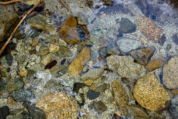 Top view of a clear mountain stream in the Aigüestortes i Estany de Sant Maurici National Park. Catalan Pyrenees, Spain.