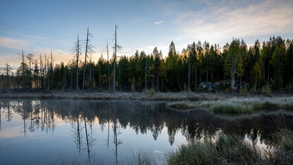 Paysage de Laponie en Finlande à l'automne