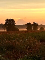 fantastic colorful sky after the sunset, fog at the field, countryside fantastic purple evening