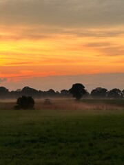 Fototapeta premium fantastic colorful sky after the sunset, fog at the field, countryside fantastic purple evening