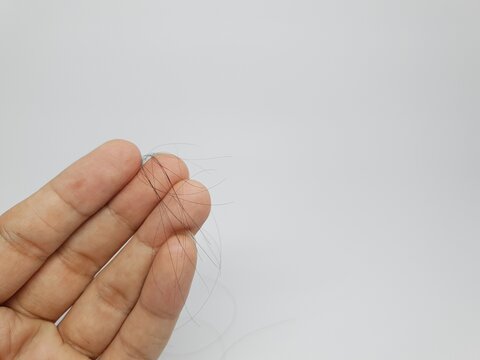 Hand holding strands of hair on white background, concept of hair loss, shedding, or beauty care.