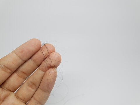 Hand holding strands of hair on white background, concept of hair loss, shedding, or beauty care.
