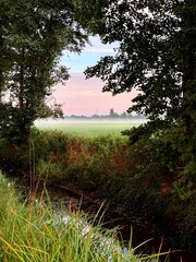 fantastic colorful sky after the sunset, fog at the field, countryside fantastic purple evening