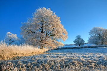 English farmland in winter
