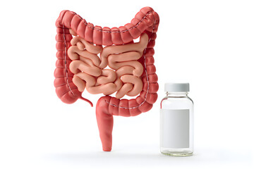 Human Intestines and Medicine Bottle