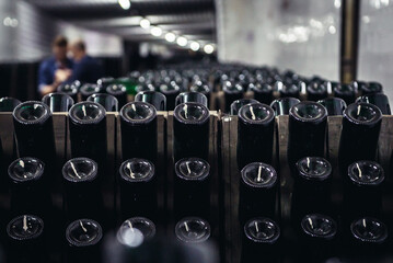 Bottles of sparkling wine during stage of production method called riddling in famous winery in Cricova town, Moldowa