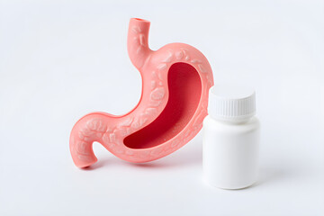 Human Stomach Beside Medicine Bottle