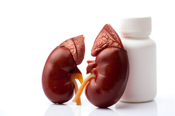 Human Kidneys and Medicine Bottle