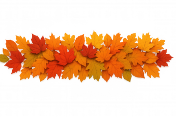 Autumn season leaves border creating falling foliage design element, vibrant orange and red colors on transparent background