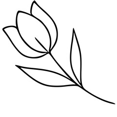 Obraz premium Elegant black outline vector illustration of a single tulip with two leaves on a stark white background, evoking simplicity and natural beauty.
