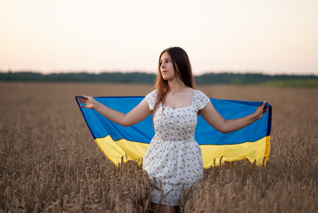 Girl with the flag of Ukraine standing in a wheat field at sunset. Girl holding an unfolded national flag of Ukraine behind her back in a ripe wheat field, patriotism, fertility of Ukrainian land