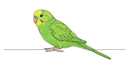 Fototapeta premium Green budgerigar perched on a line against white background
