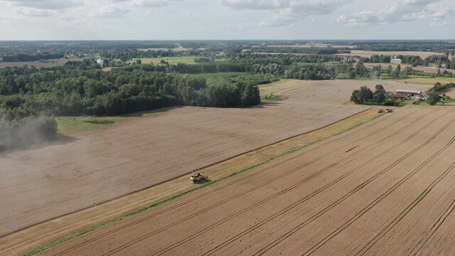 Combine harvester threshing the grain with spectacular farm in background. Drone view over wheat fields in a sunny day. 