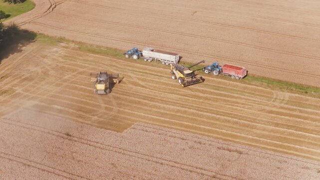 Combine harvester threshing the grain with spectacular farm in background. Drone view over wheat fields in a sunny day. 