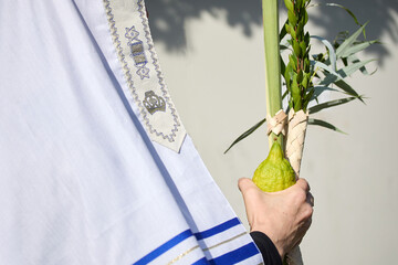 Succot. Jewish man in a Tallit praying while waving the Four Species, Lulav and Etrog