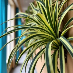 Lush Greenery Embraces the Corridor