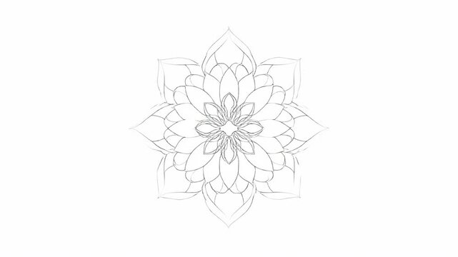 Intricate geometric mandala design with delicate floral symmetry