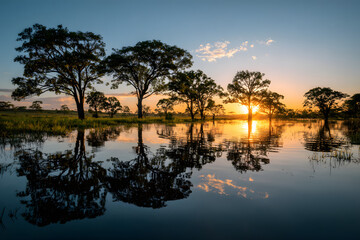 Obraz premium Breathtaking landscape of the Pantanal at dusk, with silhouettes of trees reflected on the water. Corumba, Mato Grosso do Sul, Brazil. Brazilian nature and wilderness.