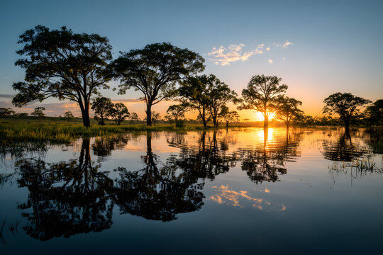 Breathtaking landscape of the Pantanal at dusk, with silhouettes of trees reflected on the water. Corumba, Mato Grosso do Sul, Brazil. Brazilian nature and wilderness.