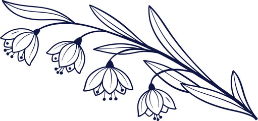 Delicate line art illustration of hanging bell-shaped flowers with slender leaves. Elegant botanical vector design for decor, patterns, and invitations. Minimal monochrome floral artwork.