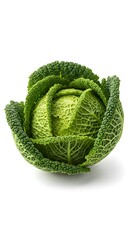 Organic fresh savoy cabbage isolated on clean white background, healthy vegetable concept