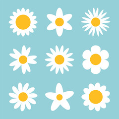 Collection of white flower icon. Chamomile daisy flower set vector. 