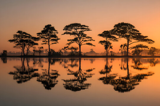 Breathtaking landscape of the Pantanal at dusk, with silhouettes of trees reflected on the water. Corumba, Mato Grosso do Sul, Brazil. Brazilian nature and wilderness.