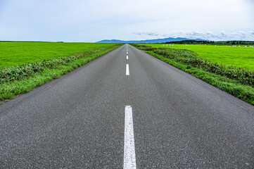 A straight road common in Hokkaido, Japan