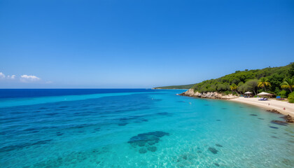 Fototapeta premium “Tropical Beach with Clear Waters, Sandy Shore, and Green Vegetation”