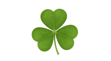 Isolated three leaf clover, symbol of Saint Patrick's Day and Irish luck, spring plant