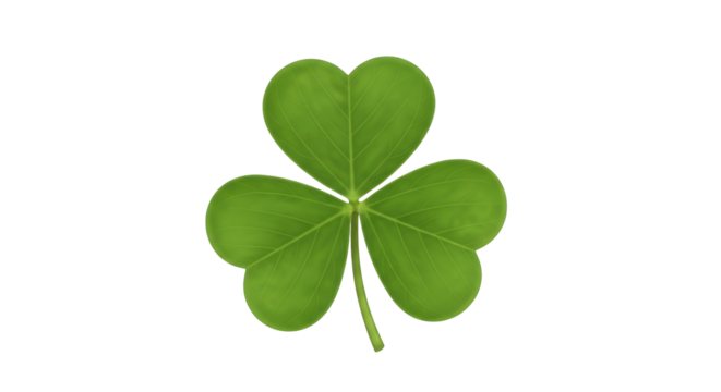 Isolated three leaf clover, symbol of Saint Patrick's Day and Irish luck, spring plant
