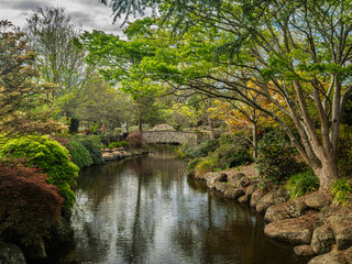 Obraz premium Peaceful River Flows Through Garden To Bridge
