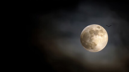 Photograph of a full moon during a total lunar eclipse. the moon is in the center of the image, with a dark background.